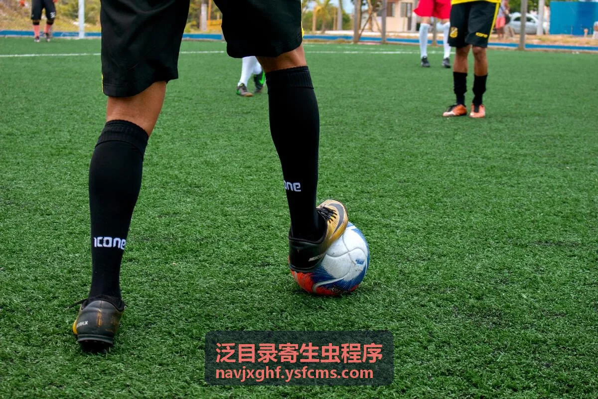 蝎子之灭杀行动HD国语版陌生页面收录排查
